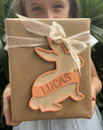 3D Bunny 6