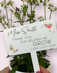 teacher-plant-stick