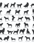 Dog Breeds 1
