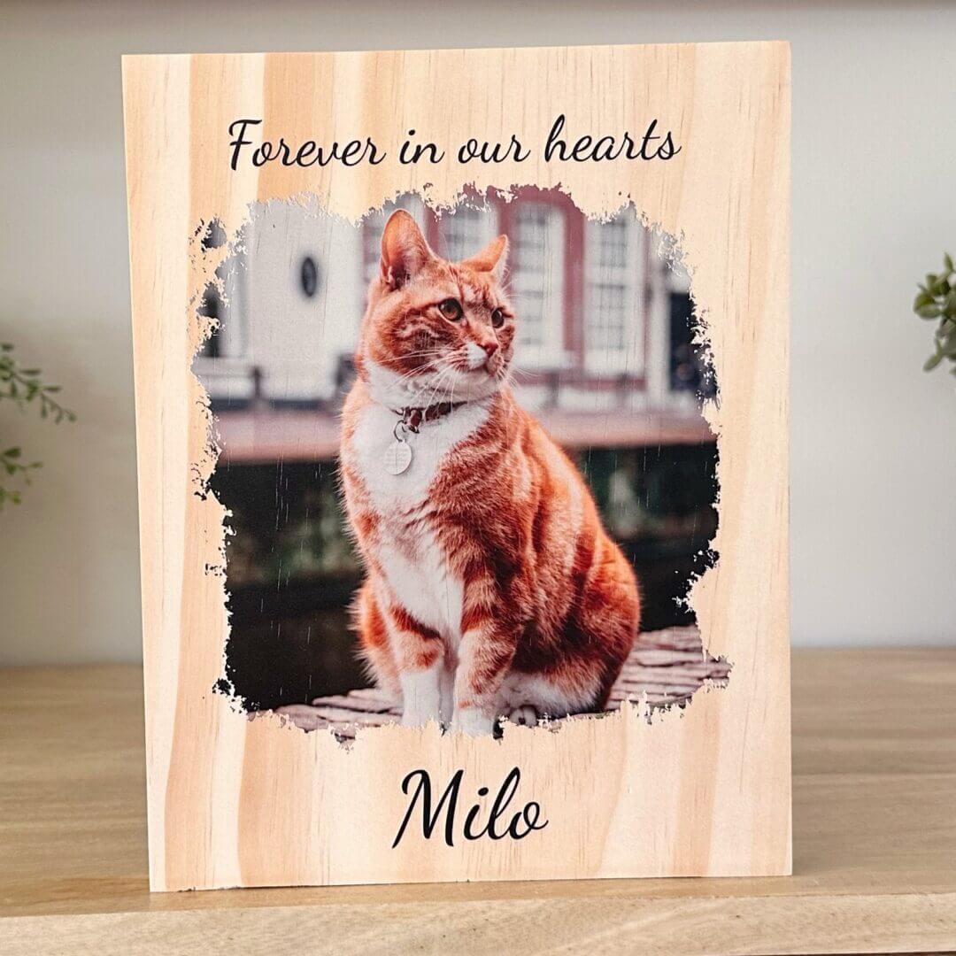 pet memorial