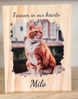 pet memorial