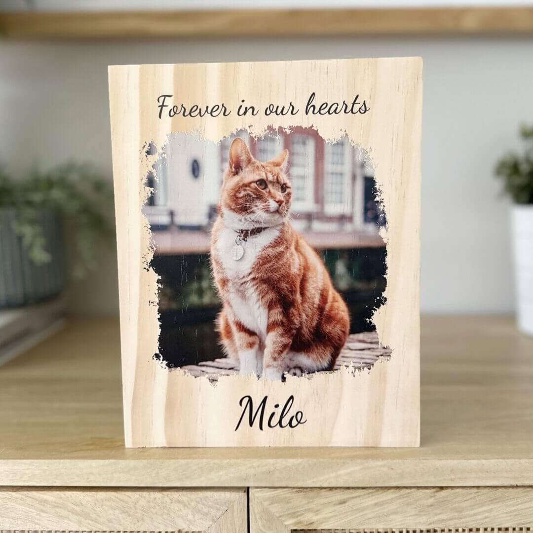 pet memorial