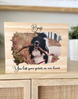custom pet memorial display block