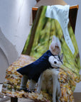 pet-memorial-blanket