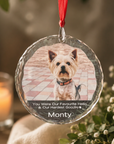 personalised crystal pet memorial ornament with photo and name
