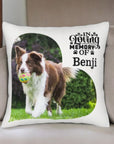 pet-memorial-pillow
