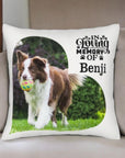 pet-memorial-pillow