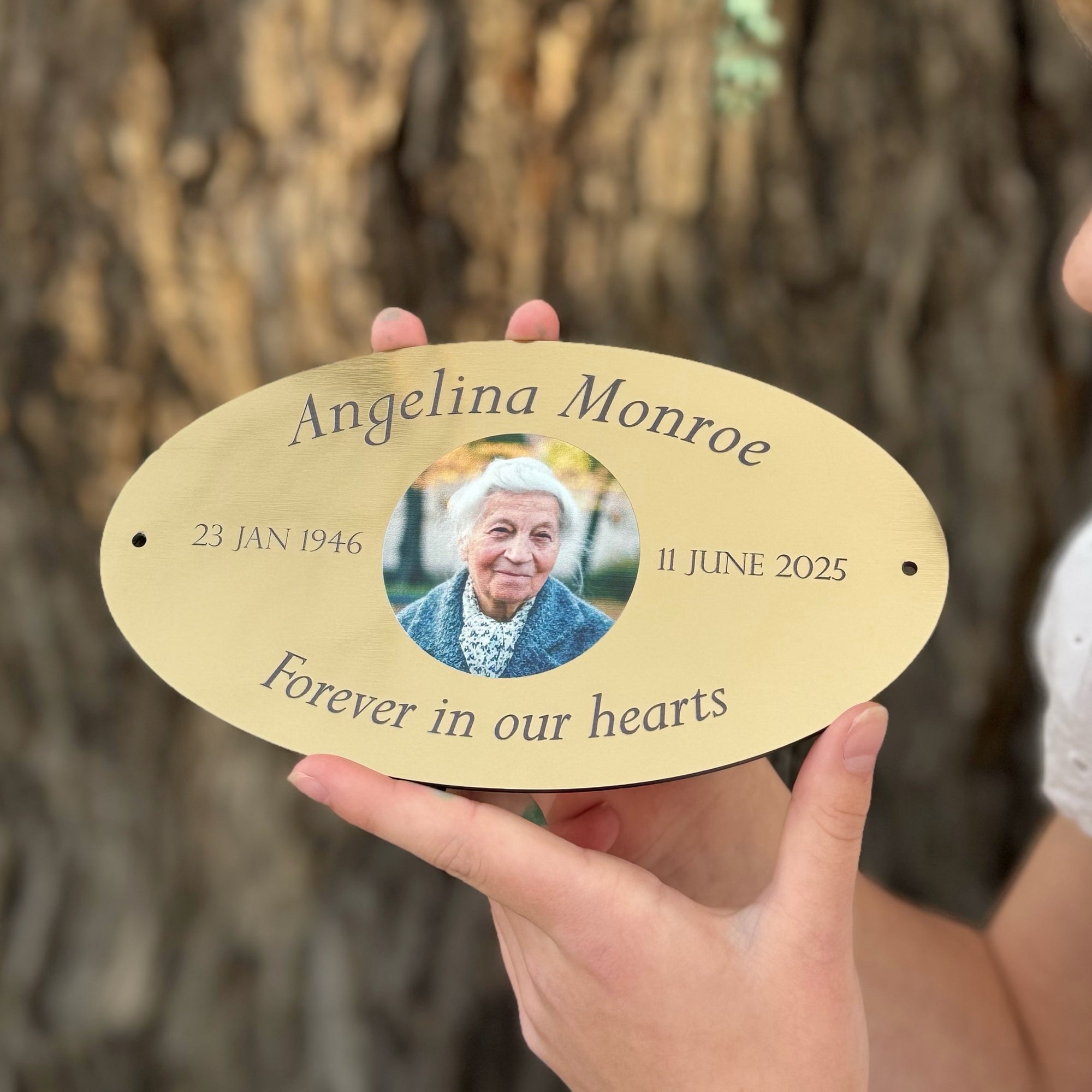 memorial-bench-plaque