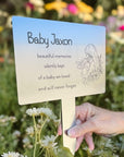 baby jaxon plaque