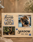 dog memorial photo