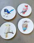 bird-magnets