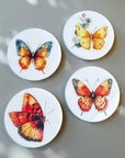 butterfly-magnets