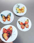 butterfly-magnets