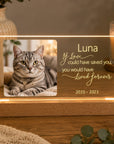 cat loss keepsake