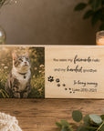 cat sympathy gift