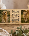 dog sympathy gift