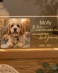 pet memorial light