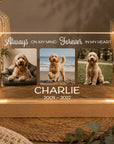dog memorial sympathy gift