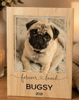 pet loss photo keepsake forever loved