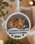 pet death ornamnet