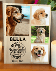 Personalised pet memorial photo block paw prints