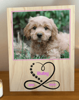 pet-memorial-plaque