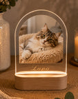 cat sympathy gift