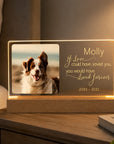 memorial night light for pet