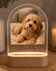 dog sympathy gift