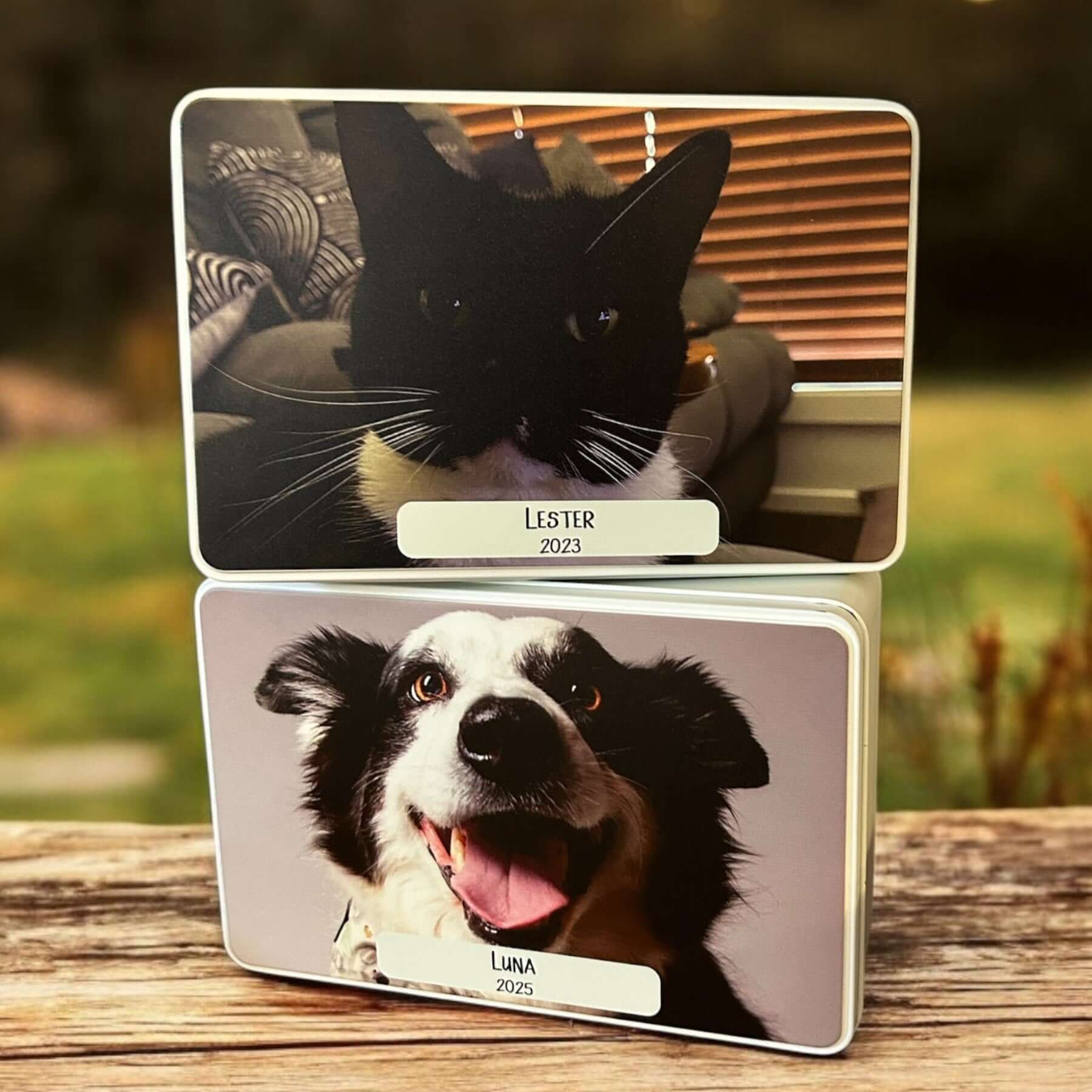 pet-keepsake-box