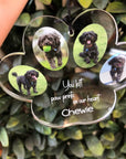 Personalised pet memorial wind chimes with four photo panels