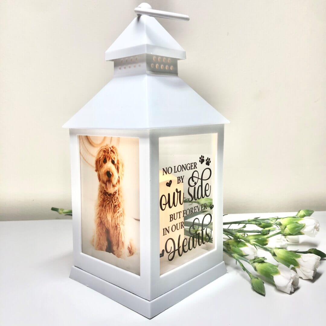 pet memorial lantern. pet loss gift
