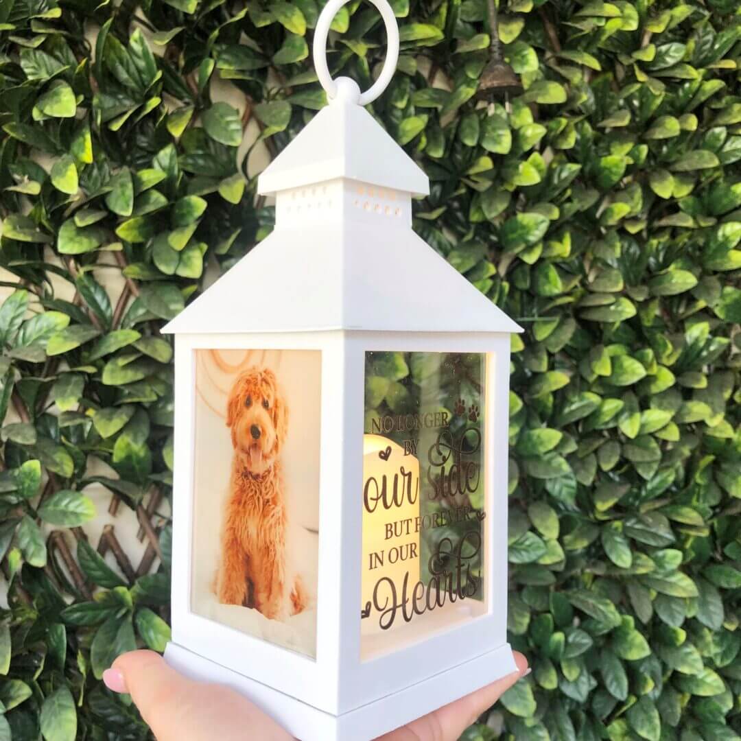 pet memorial lantern. pet loss gift