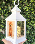 pet memorial lantern. pet loss gift