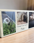 pet memorial photo block