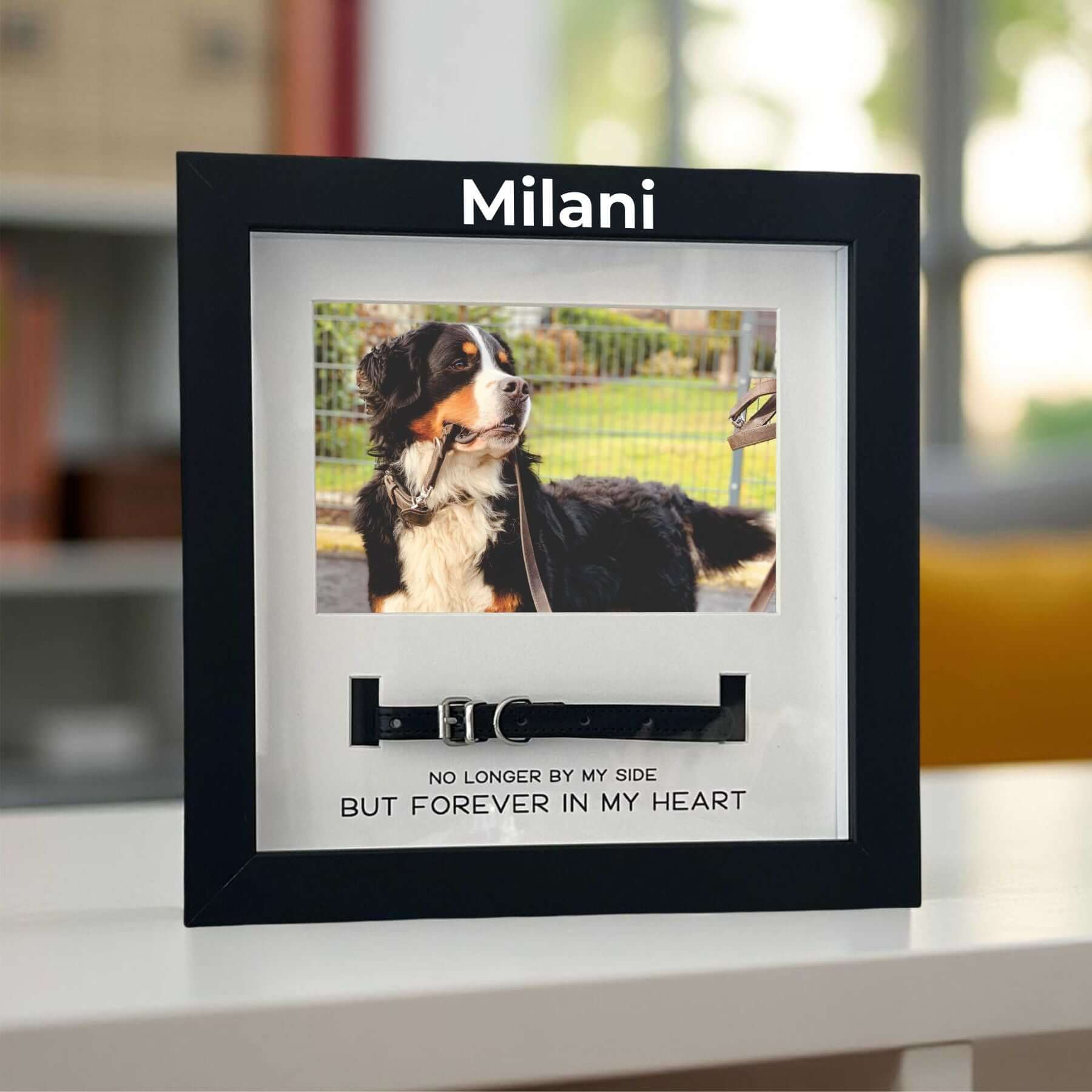 pet-memorial-frame-with-collar
