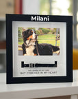 pet-memorial-frame-with-collar