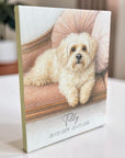 Pet portrait