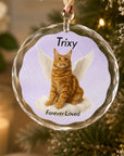 crystal pet memorial ornament with velvet bag or gift box