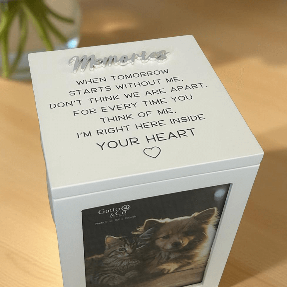 pet-ash-box