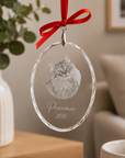 Personalised Engraved Crystal Pet Photo Ornament