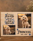 pet loss sympathy gift