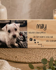 pet memorial sympathy gift