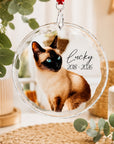 Personalised crystal pet memorial ornament featuring photo, name and memorial dates custom remembrance keepsake