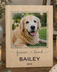 pet loss photo keepsake