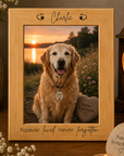 pet loss sympathy gift
