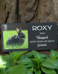 pet-memorial-plaques