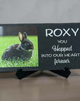 Slate pet memorial garden plaque with black stand