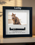 pet-memorial-shadow-box