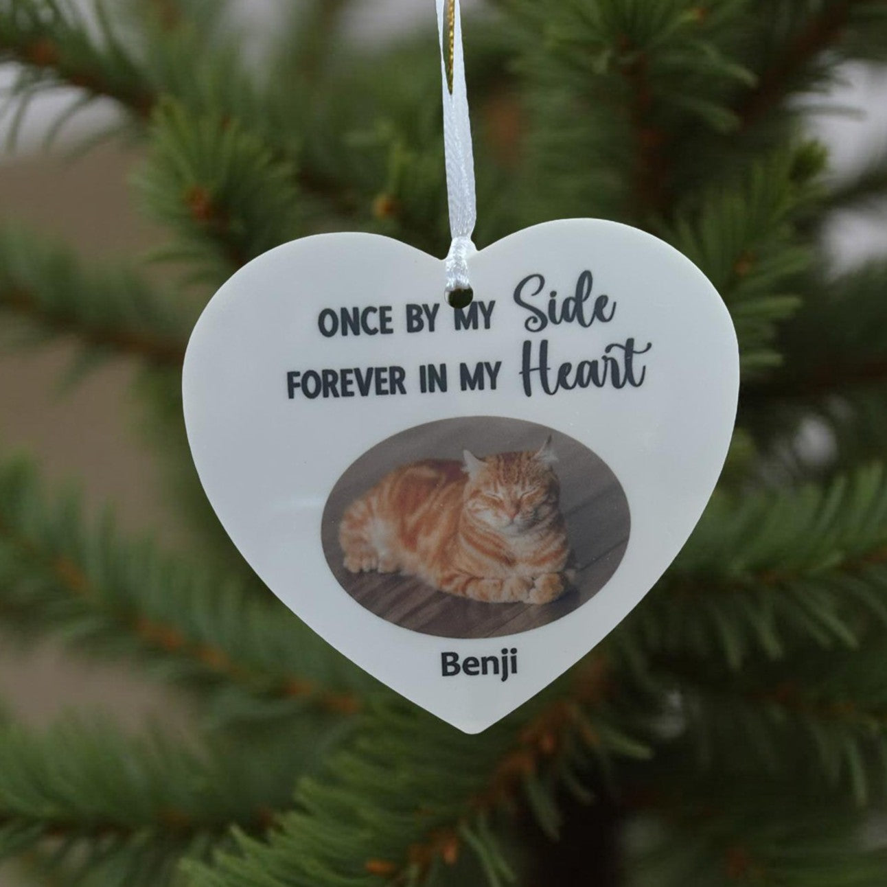 pet-photo-christmas-ornament